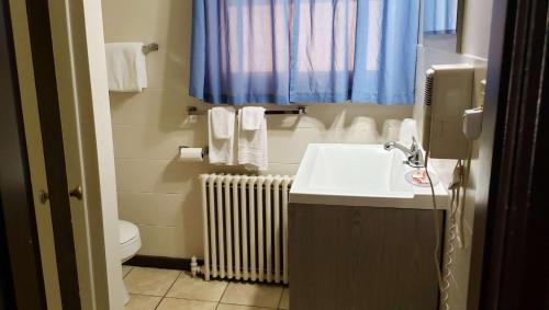 a bathroom with a sink and a toilet at Windmill Inn Lynden in Lynden