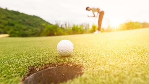a golf ball on a green with a person in the background at Magnuson Hotel Detroit Airport in Romulus