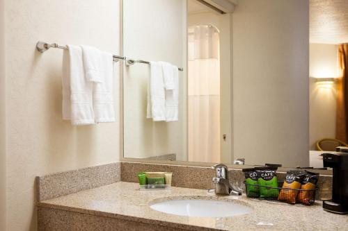 W łazience znajduje się umywalka i lustro. w obiekcie Mountain Home Inn w mieście Mountain Home