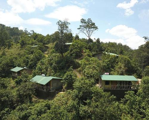 a group of houses on the side of a hill at Gorilla Hills Eco-lodge in Kisoro