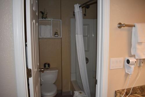 a bathroom with a toilet and a shower curtain at Lighthouse Cove Inn in Bandon