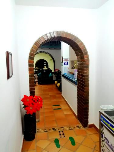 Η κουζίνα ή μικρή κουζίνα στο Hotel Casa Oasis