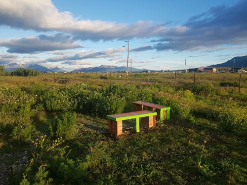 a bench sitting in the middle of a field at Hotel Casa Verde in Puerto Natales
