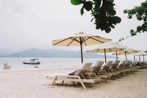 a row of chairs and umbrellas on a beach at Scallywags Beach Club in Gili Islands