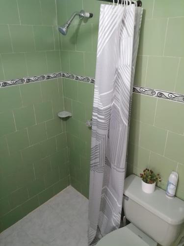 a shower curtain in a green bathroom with a toilet at Apartamento Mattos in Taganga