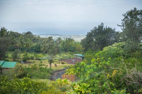 a view of a park with trees and a fence at Aeolian Ranch Guest house in Kailua-Kona