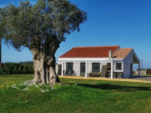a white house with a tree in the grass at Kuanza Farmhouse and Lodge in Zambujeira do Mar