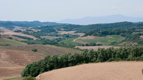 an open field with trees on the side of a hill at FRANTUSA 6&2, Emma Villas in Volterra