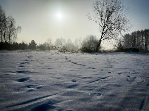 a snow covered field with footprints in the snow at Sosnowy domek w rezerwacie nad Narwią in Bokiny