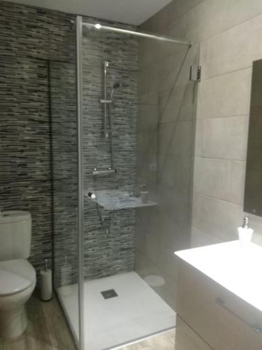 a bathroom with a shower and a toilet and a sink at Apartamento La Agripina in Aldeadávila de la Ribera