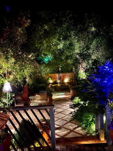 a garden with a bench and trees at night at The Galaxie in Oxford