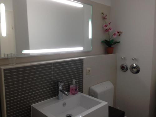 a bathroom with a sink and a mirror and a toilet at City Apartment in Nürnberg Center in Nürnberg