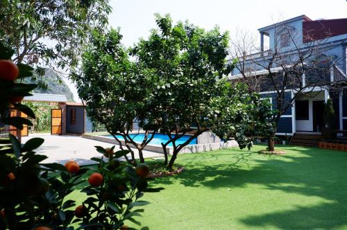 a yard with an apple tree and a swimming pool at Ninh Binh The View Point Home & Spa in Ninh Binh