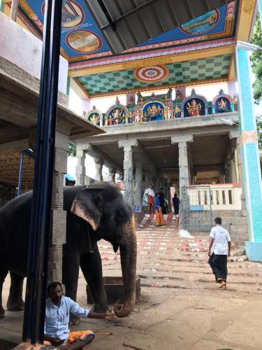 an elephant standing in front of a building at Chettinadu Mansion – An Authentic Heritage Palace in Kānādukāttān