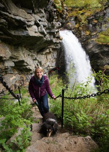 Gambar di galeri bagi Westerås Gard di Geiranger