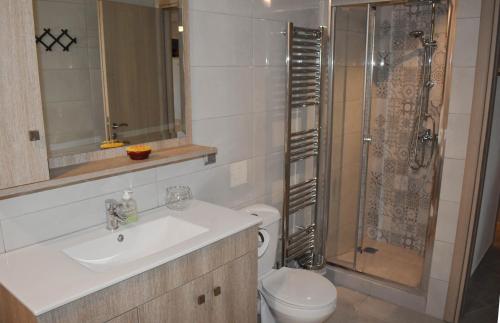 ein Bad mit einem WC, einem Waschbecken und einer Dusche in der Unterkunft Galaxidi Family House in Galaxidi