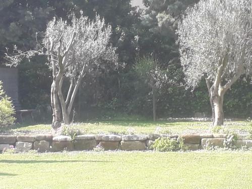 a stone wall in a field with trees in the background at Mas" La Maison de mon Père " Proche AVIGNON à PUJAUT in Pujaut