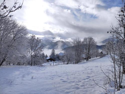 a snow covered field with trees and mountains in the background at Bel appartement au rez de chaussée d'un chalet in Jarrier