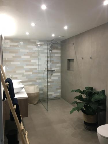 La salle de bains est pourvue d'une douche, de toilettes et d'un lavabo. dans l'établissement Strandhuis, à Egmond aan Zee