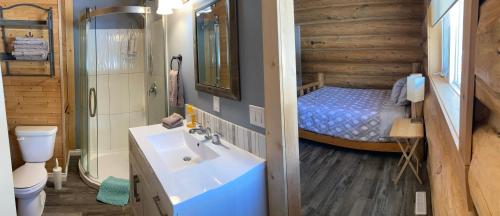 1 dormitorio con 1 cama y baño con lavabo. en Cougar Mountain Lodge B&B, en Valemount