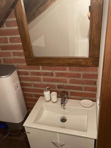 a bathroom with a sink and a mirror at Apartmanový dům 13 Podkroví 1 in Seč