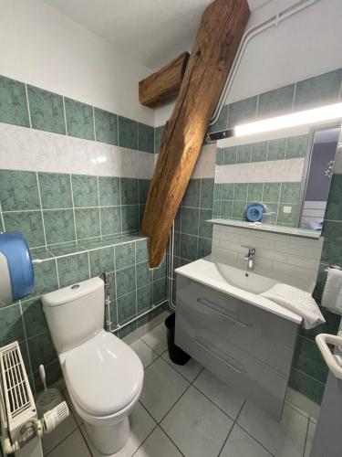 a bathroom with a toilet and a sink and a mirror at Sarl Macarena in Pouillenay