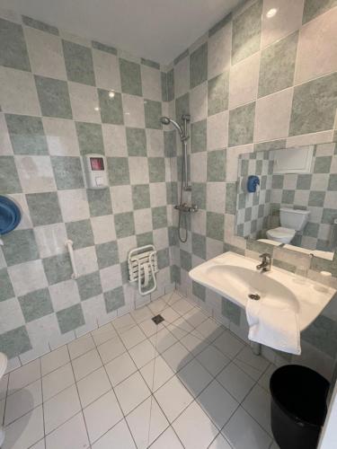 a bathroom with a sink and a shower at Sarl Macarena in Pouillenay