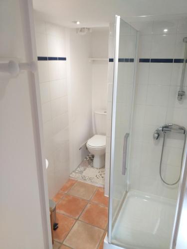 a small bathroom with a toilet and a shower at Studio hyper centre entre port et plage in Les Sables-dʼOlonne
