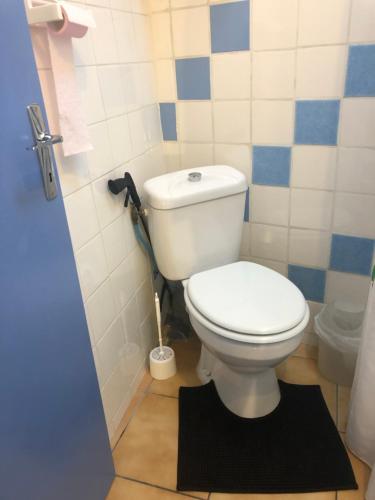 een badkamer met een wit toilet en een zwart tapijt bij Gite Les Oliviers in Sablet