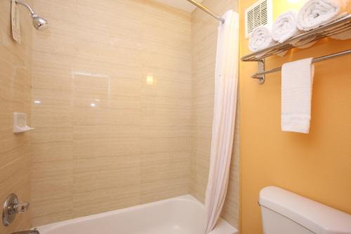a bathroom with a shower and a white toilet at BLUE SKY INN Glens Falls-Saratoga-Lake George in Glens Falls