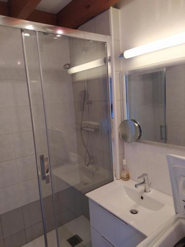 a bathroom with a shower and a sink at Appartement en duplex 2* Résidence Les Pêcheurs in Biscarrosse