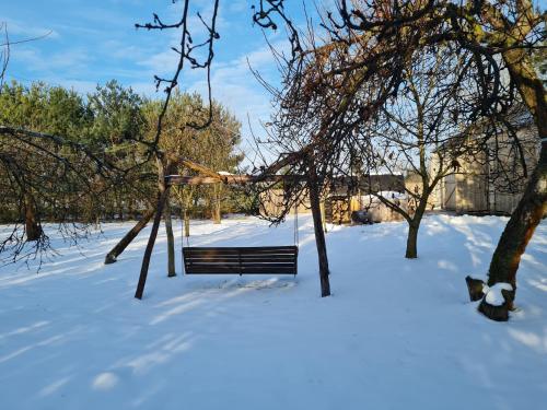 a swing in the snow under a tree at Siedlisko Bolek in Nadrybie