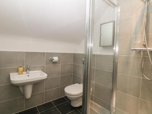 a bathroom with a toilet and a sink and a shower at Heythrop in Alton