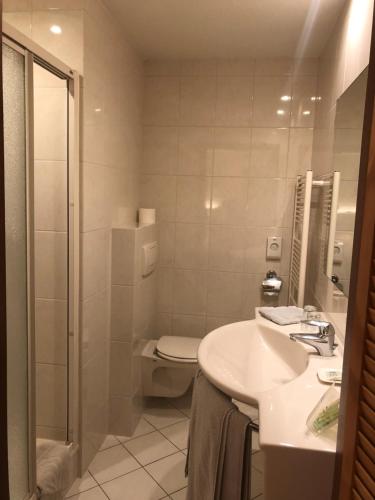 a bathroom with a toilet and a sink and a shower at Hotel Handelia in Handel