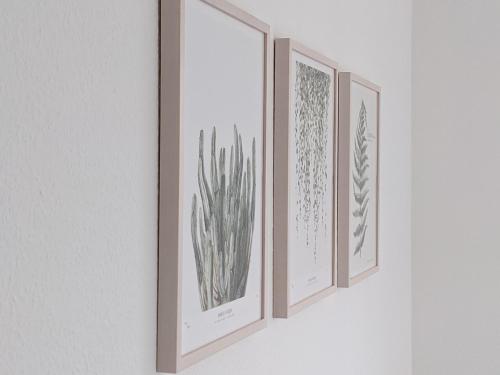 four framed drawings of plants on a wall at Haus zur Aach Tinyhouse in Uhldingen-Mühlhofen