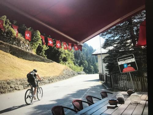 Fotografie z fotogalerie ubytování Ustria Crusch Alva v destinaci Tavanasa