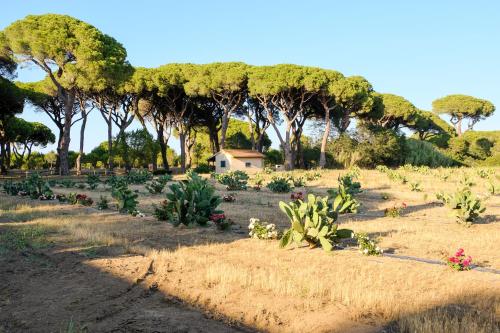 Κήπος έξω από το Residence La Canova II