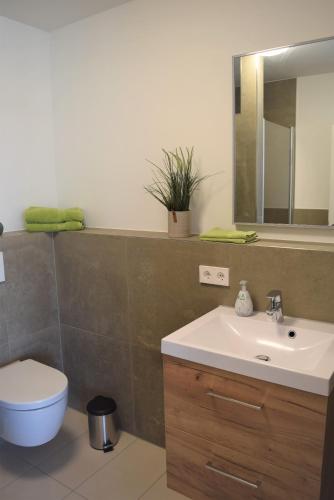 a bathroom with a sink and a toilet and a mirror at Ferienhaus Marve in Ettenheim