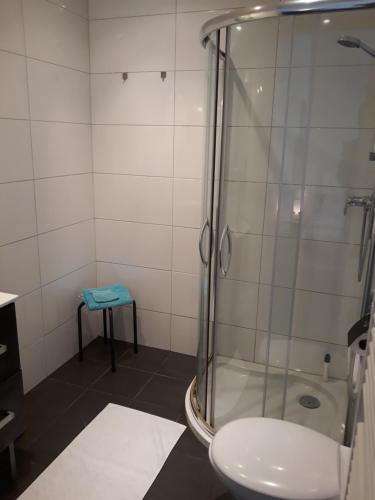 Kupatilo u objektu Vakantie Appartementen Engelen