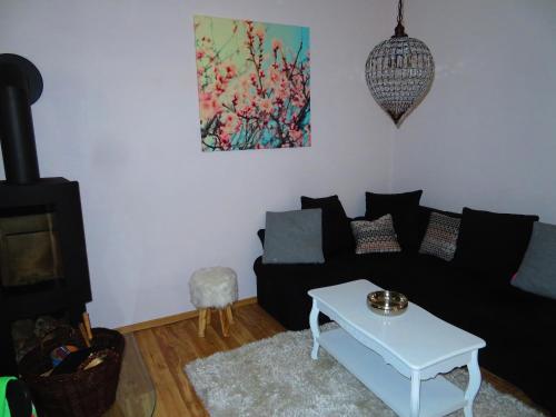 a living room with a black couch and a table at Kastavengrund - Ferienhäuser mit Kamin in Lychen