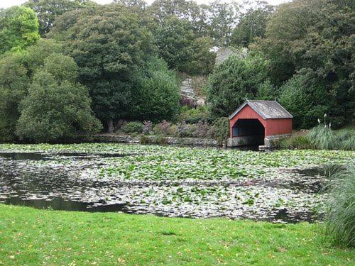 a red barn in a lily field with a bridge at Gardeners Cottage in Llanrhyddlad