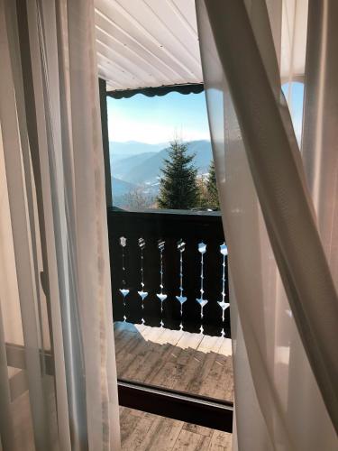 a window with a view of a mountain view at Синевирський Перевал in Synevyr