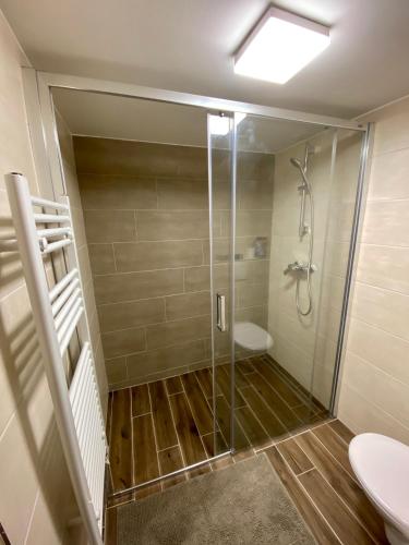 a bathroom with a shower and a toilet and a sink at Demaris in Třebíč