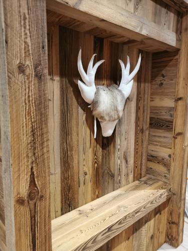 a pair of antlers hanging on a wooden wall at Résidence Julianna , trajets remontées mécaniques , livraison viennoiseries, piscine couverte in Morzine