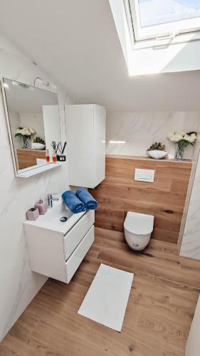 a bathroom with a sink and a toilet and a skylight at House Vertel in Matulji