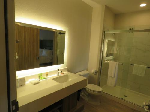 a bathroom with a sink and a toilet and a shower at Wyndham Garden College Station in College Station