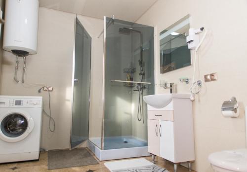 a bathroom with a shower and a sink and a washing machine at Садиба Кичера та Кичера Еко in Mizhhirʼʼya