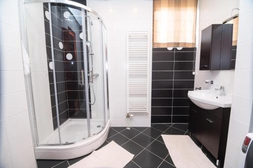 un bagno con doccia e lavandino di Heart of Ferhadija a Sarajevo