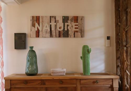 a cactus and a vase sitting on a wooden table at Maison D'hôtes Sainte-Marie in Mirande