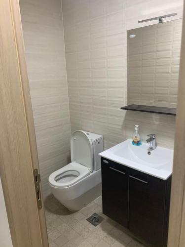 a bathroom with a toilet and a sink and a mirror at High End Apartments in Diamond Garden Building in Skopje